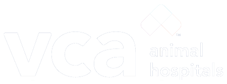 VCA Logo